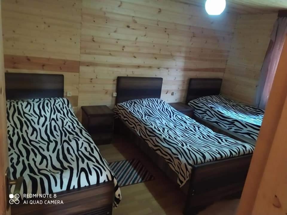 Guesthouse Luka أوشغولي المظهر الخارجي الصورة